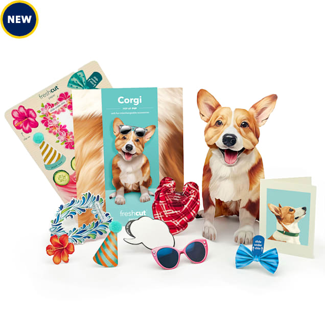 Freshcut Paper Corgi Pop-Up Greeting Card - Carousel image #1