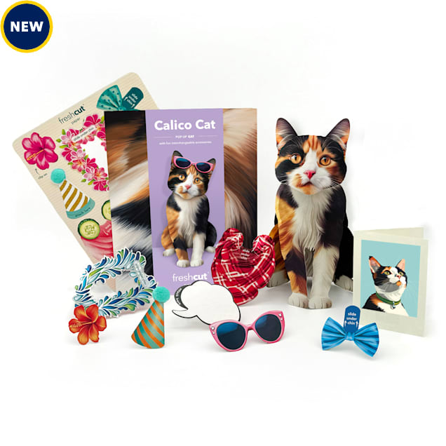 Freshcut Paper Calico Cat Pop-Up Greeting Card - Carousel image #1
