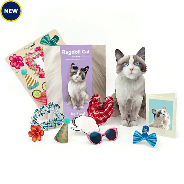Freshcut Paper Ragdoll Cat Pop-Up Greeting Card - Carousel image #1