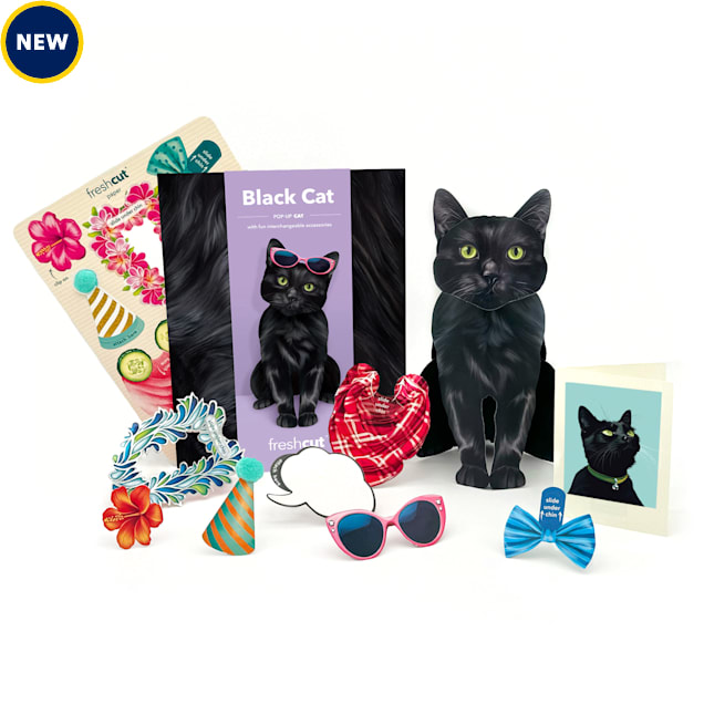 Freshcut Paper Black Cat Pop-Up Greeting Card - Carousel image #1