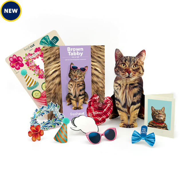 Freshcut Paper Brown Tabby Pop-Up Greeting Card - Carousel image #1