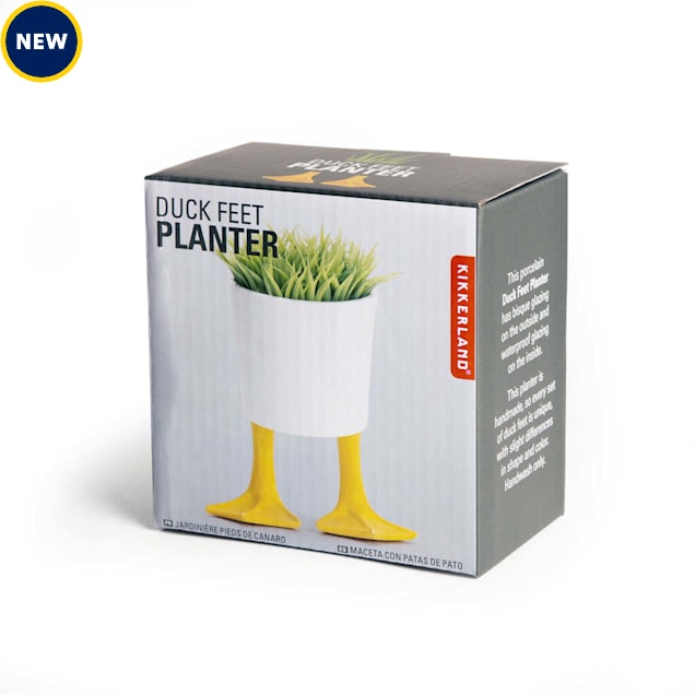 Kikkerland Design Duck Feet Planter, Small - Carousel image #1