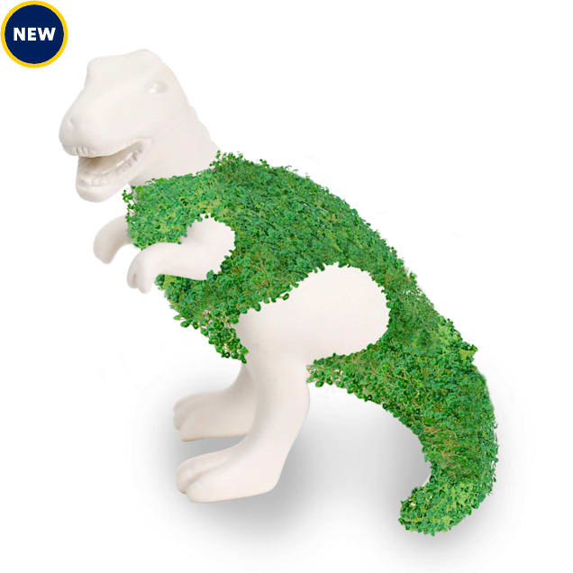 Gift Republic Chia-saurus Rex Planter - Carousel image #1