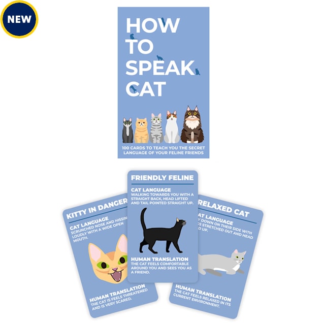 Gift Republic How To Speak Cat Card Deck - Carousel image #1