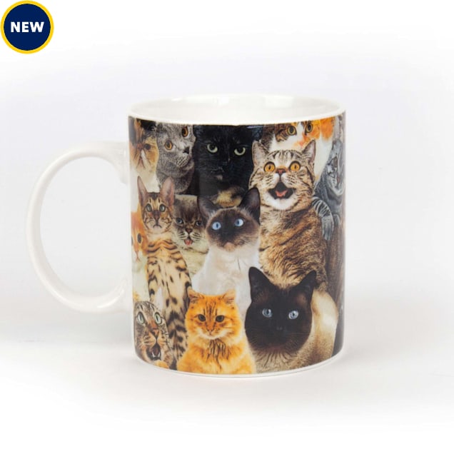 Gift Republic Crazy Cat Lady Mug - Carousel image #1