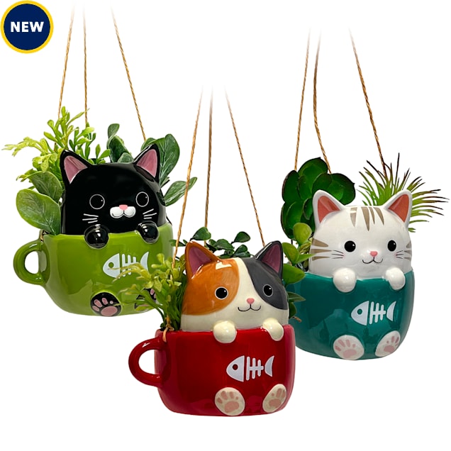 Cats in Cups Mini Hanging Planters - Carousel image #1