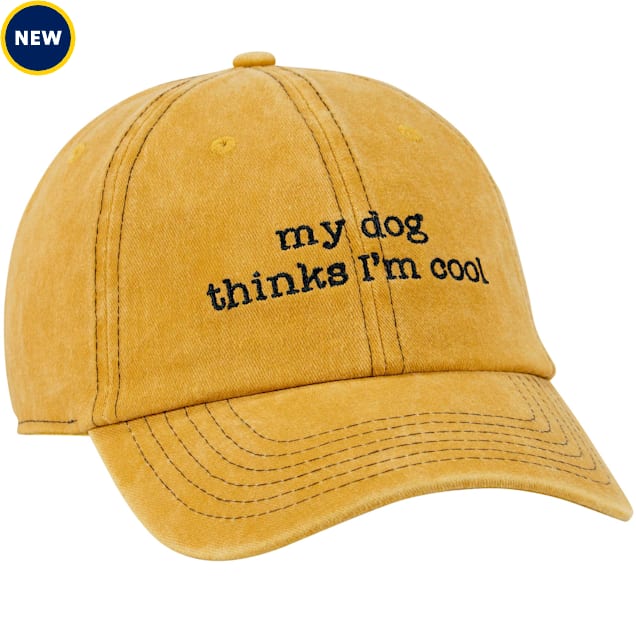 Primitives By Kathy My Dog Thinks I'm Cool Baseball Cap - Carousel image #1