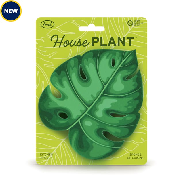 Fred Houseplant Sponge - Carousel image #1