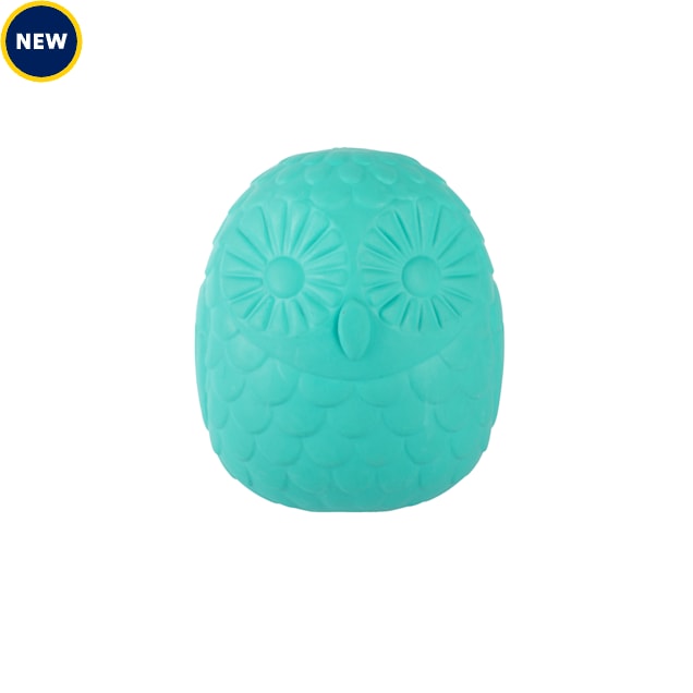 PetShop by Fringe Studio Turquoise You'Re A Hoot Rubber Dog Toy - Carousel image #1