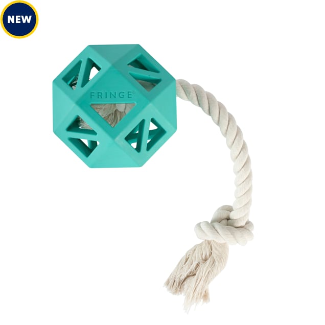 PetShop by Fringe Studio Turquoise Pull My Way Rubber Dog Toy - Carousel image #1