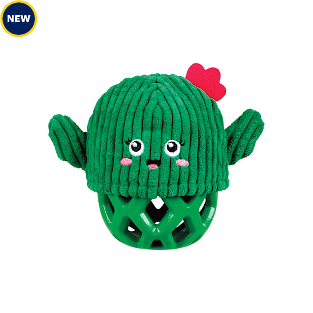 PetShop by Fringe Studio Prickly But Sweet Rubber Dog Toy - Carousel image #1