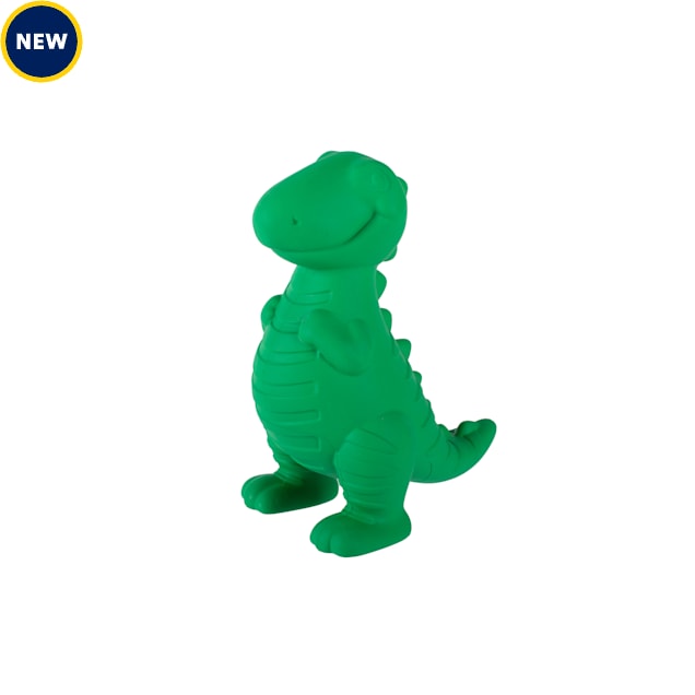 PetShop by Fringe Studio A T-Riffic Time Rubber Dog Toy - Carousel image #1