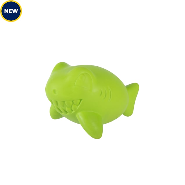 PetShop by Fringe Studio Lime Catch Ya Later Rubber Dog Toy - Carousel image #1