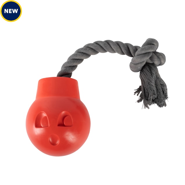 PetShop by Fringe Studio You Da Bomb Rubber Dog Toy - Carousel image #1