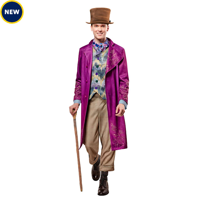 RUBIES Wonka: Willy Wonka Deluxe Adult Costume, Large - Carousel image #1