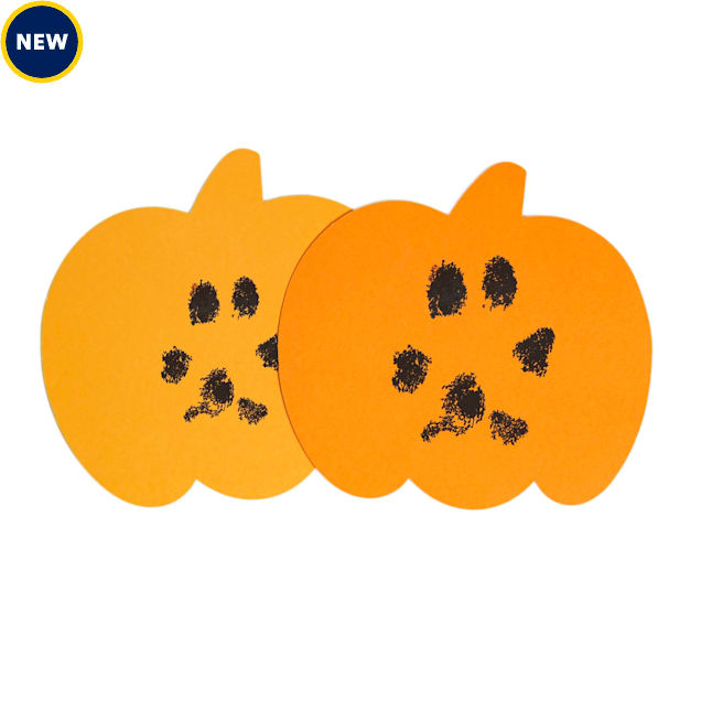 Pearhead Pet Pumpkin Diy Clean-Touch Ink Pad Kit, Orange, X-Small/Small - Carousel image #1
