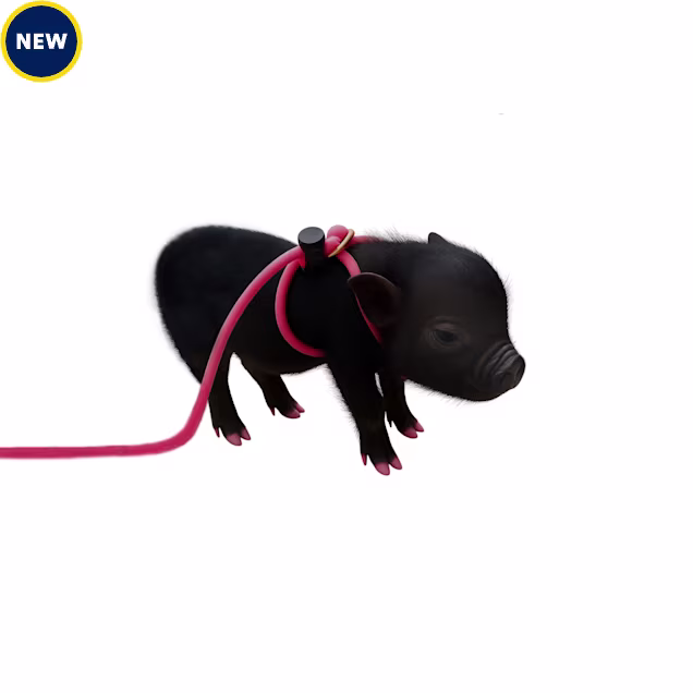 Piggy Poo and Crew Pink Adjustable Pet Harness and Leash, 12 ft. - Carousel image #1