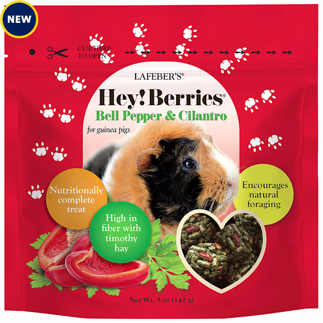 Lafeber's Hey!Berries Bell Pepper & Cilantro Treats for Guinea Pigs, 0.313 lbs. - Carousel image #1