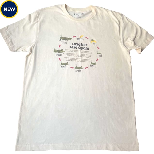Zanden Cricket Lifecycle Adult T-Shirt, Small - Carousel image #1
