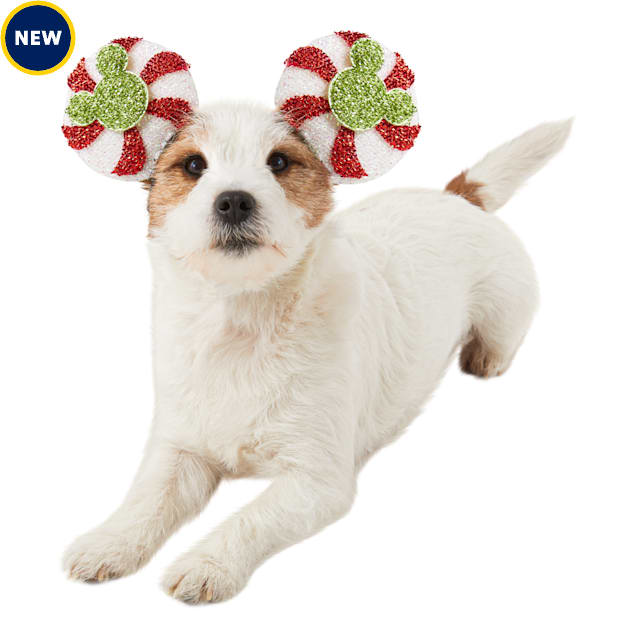 RUBIES Mickey Ear Peppermnt for Dogs, Red, Small/Medium - Carousel image #1