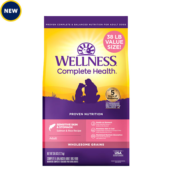 Wellness Complete Health Sensitive Skin & Stomach Wholesome Grains, Salmon & Rice Recipe Dry Dog Food, 38 lbs. - Carousel image #1