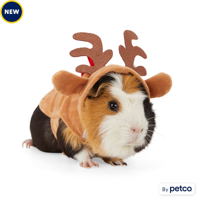 Merry Makings Reindeer Costume for Small Animals Brown Petco