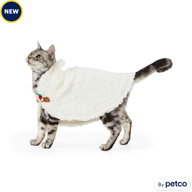 Petco cat clothes shop