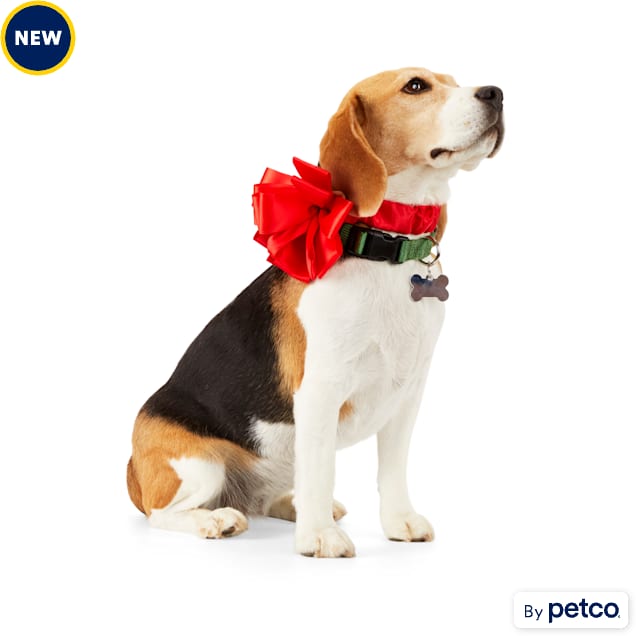 Petco christmas collars top