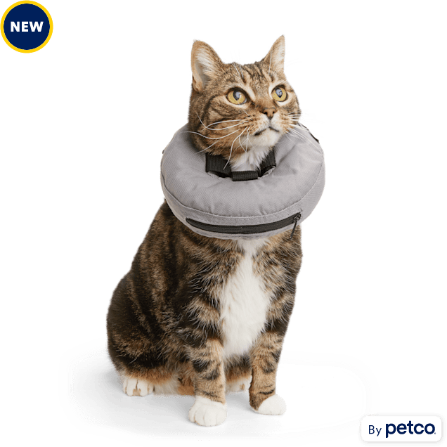 Well & Good Inflatable Recovery Cat Collar - Carousel image #1