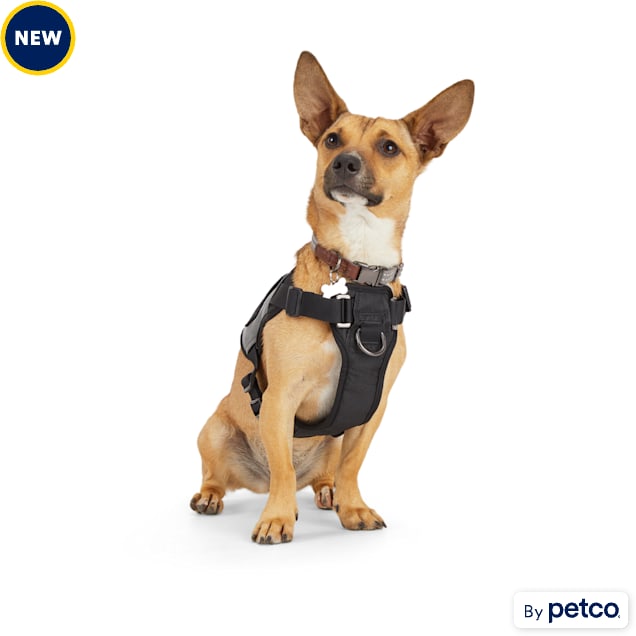 Escape proof dog harness petco top