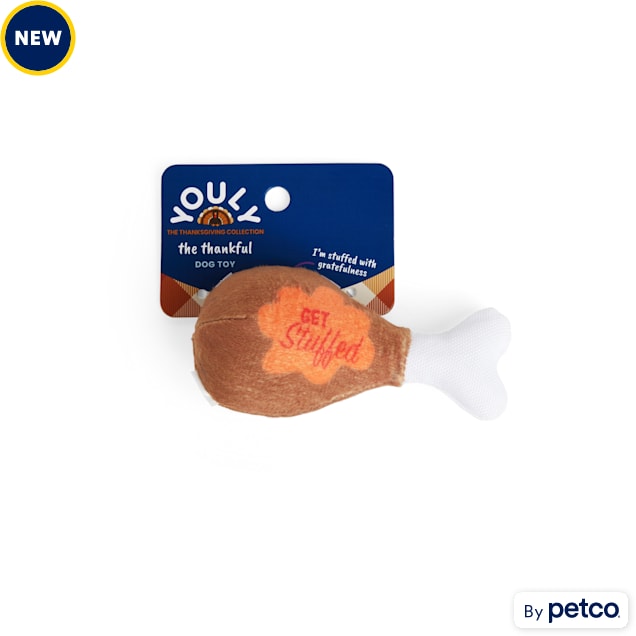 YOULY Plush Turkey Leg Dog Toy, XSmall Petco