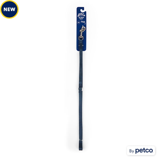 YOULY Nylon Dog Leash, Blue, 4-ft long, 1-in wide - Carousel image #1