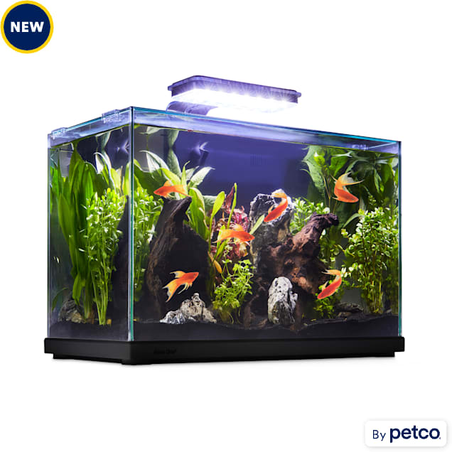 Imagitarium Glass Versa Aquarium 9.5 Gallons Petco