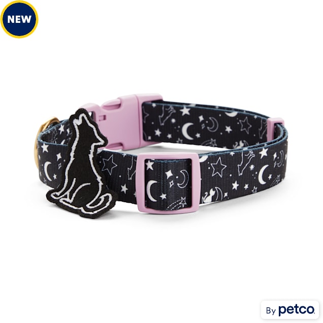 Breakaway dog collar petco clearance