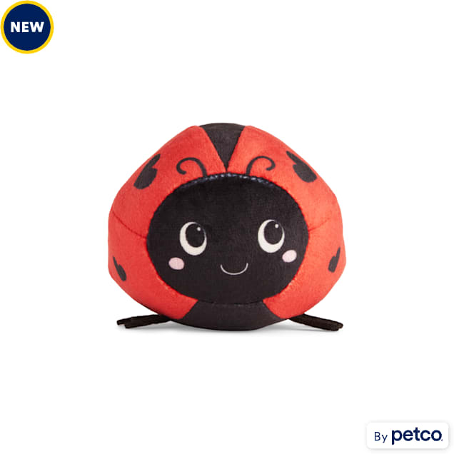 Ladybug dog toy online