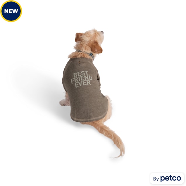 Big brother dog shirt petco outlet