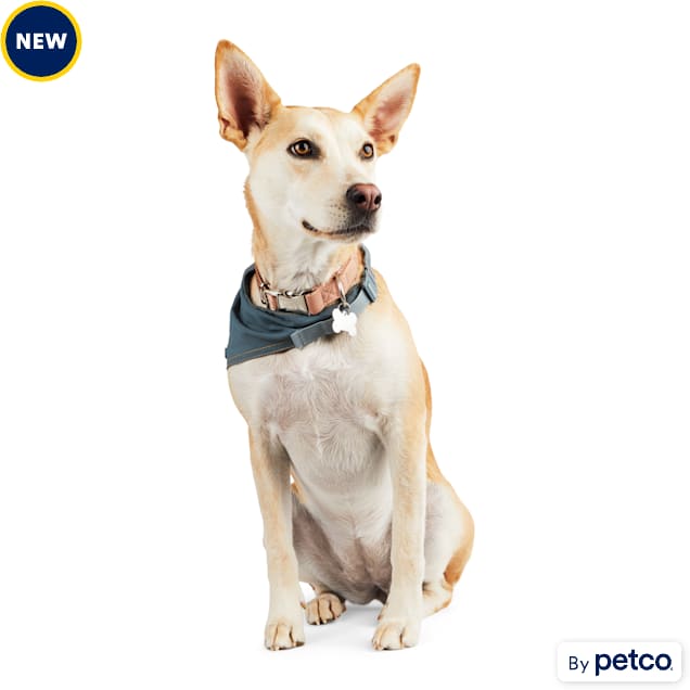 Reddy Clip Dog Bandana Navy X Small Small