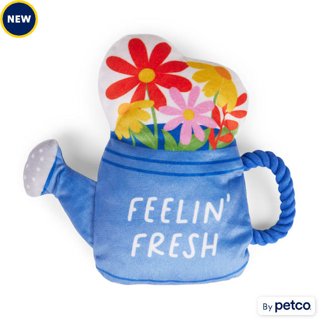Petco 2 for $5 toys top