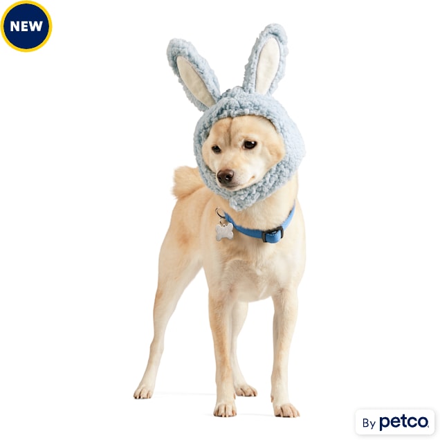 YOULY Easter Blue Bunny Hat for Dogs, XSmall/Small Petco