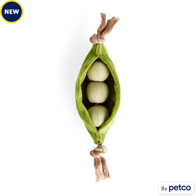 Water bottle sales dog toy petco