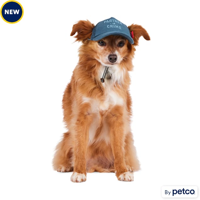 Reddy Navy Partner in Crime Hat for Dogs, Small/Medium