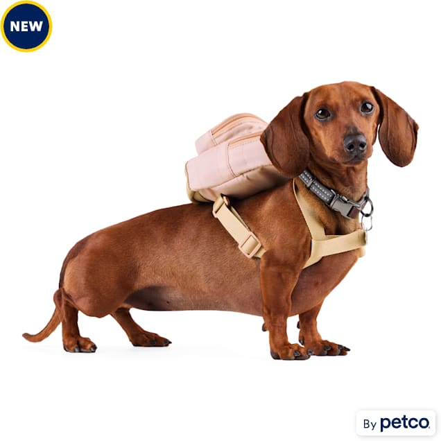 Petco dog backpack top