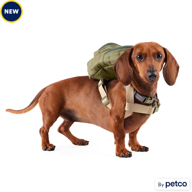 Reddy Dog Backpack X Small Small Olive