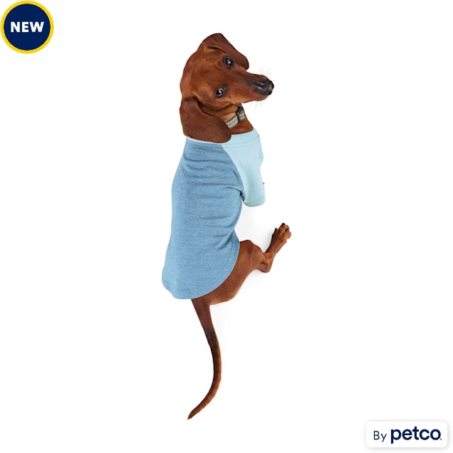Petco sales dog shirt