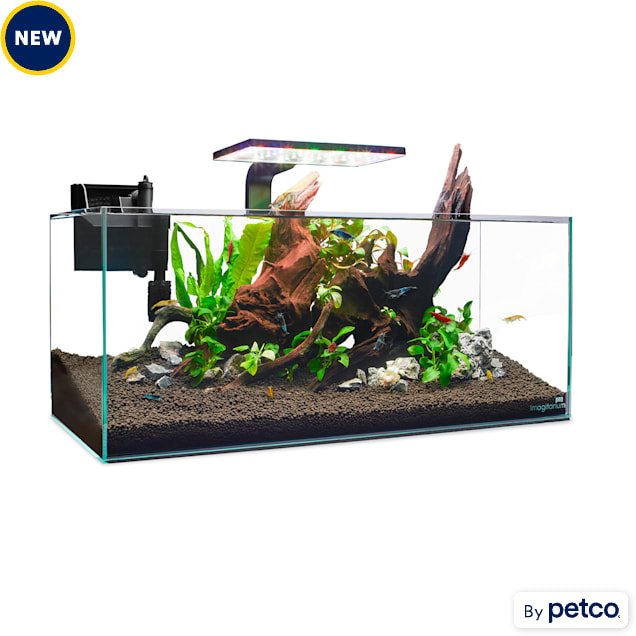 Petco shrimp tank 2025