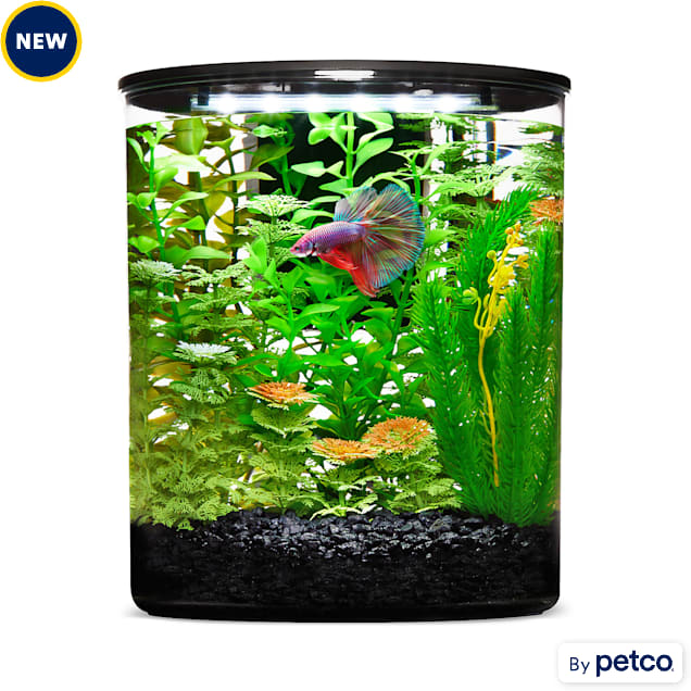 Imagitarium Plastic Cylinder Betta Aquarium, 2.5 Gallon