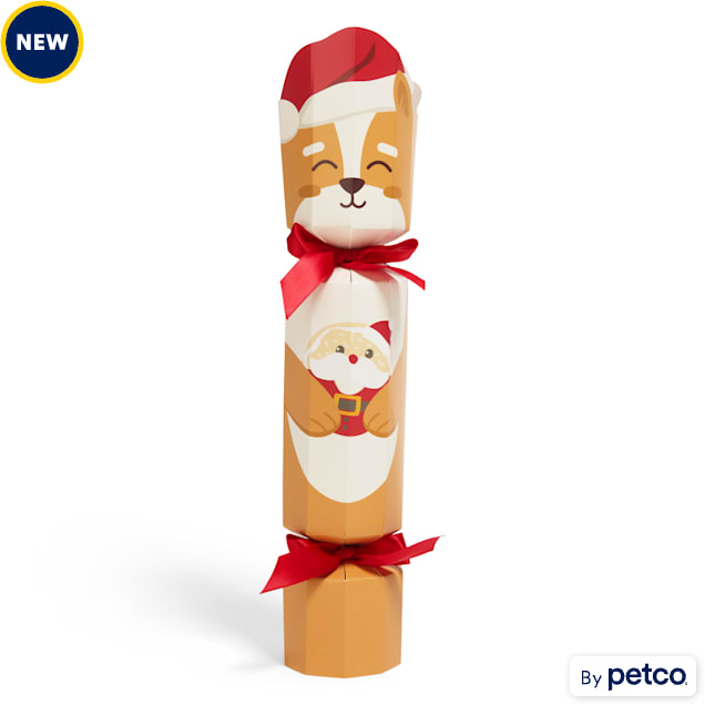 Merry Makings Tan Surprise Dog Toy Small Petco