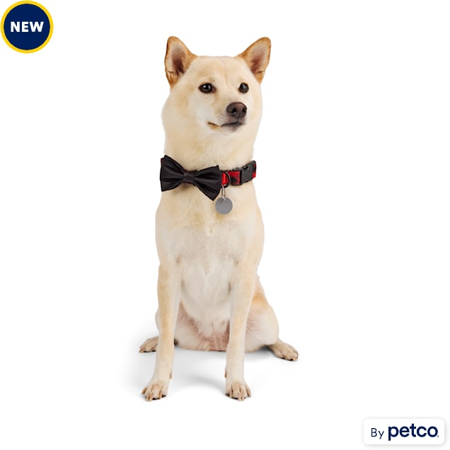 Pet bow tie collar clearance