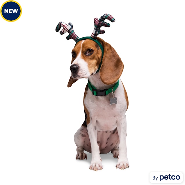 Petco dog wash price store