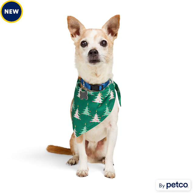 Petco bandana top
